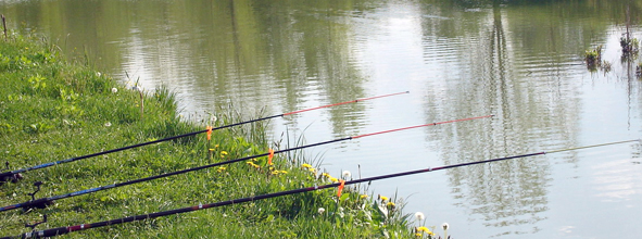 negozio pesca orizzonti milano negozio pesca orizzonti milano